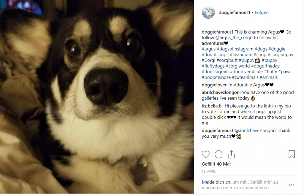 Quelle: Instagram